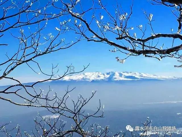 逃离猎人住宅